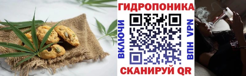 Canna-Cookies марихуана  Алексин 