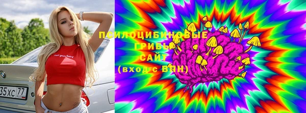 тгк Абдулино