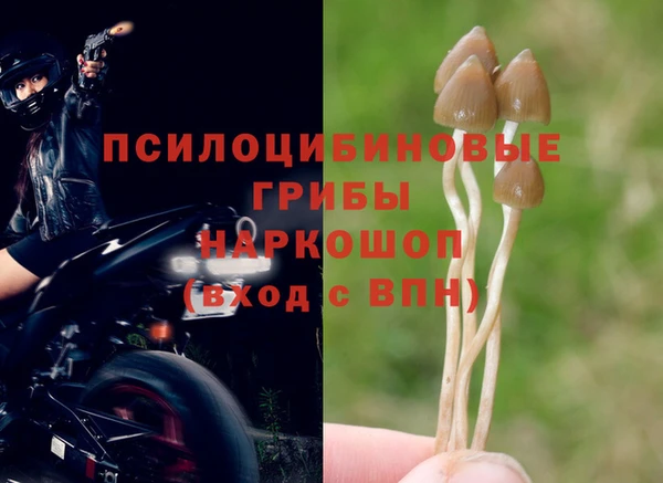 ПСИЛОЦИБИНОВЫЕ ГРИБЫ Сатка