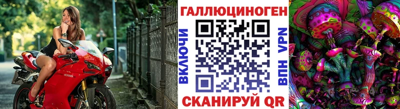 Псилоцибиновые грибы GOLDEN TEACHER  закладка  Алексин 